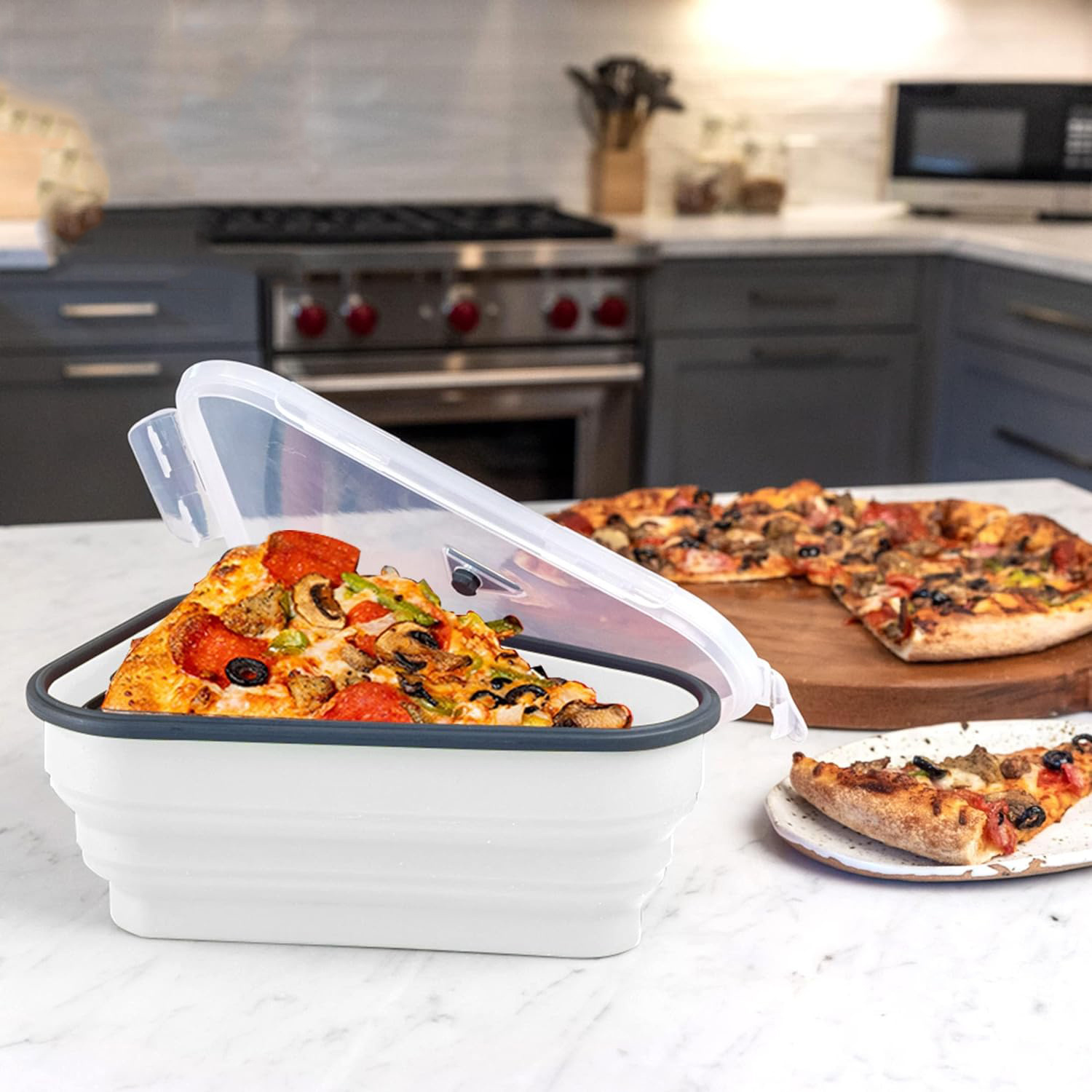 قطعة واحدة من حاوية تخزين بيتز - مراجعة Pizza Conveyor Oven وسعره